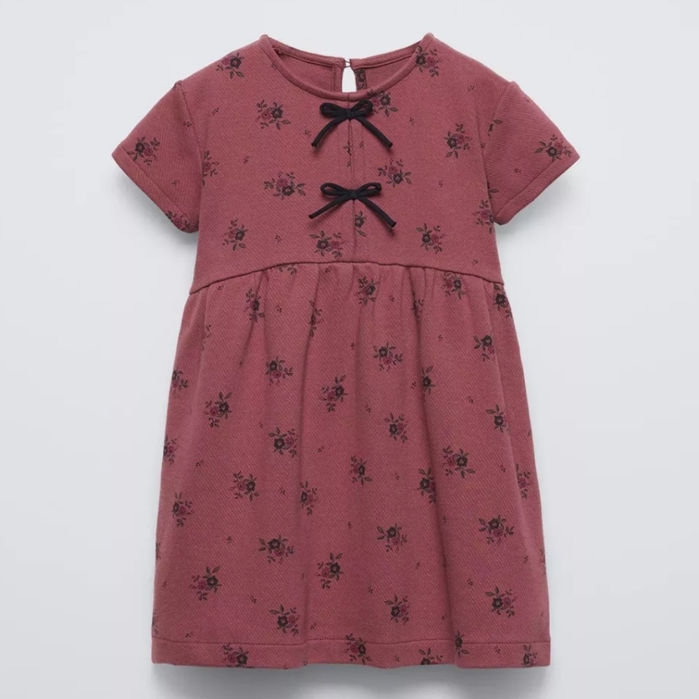 Printed Herringbone Dress